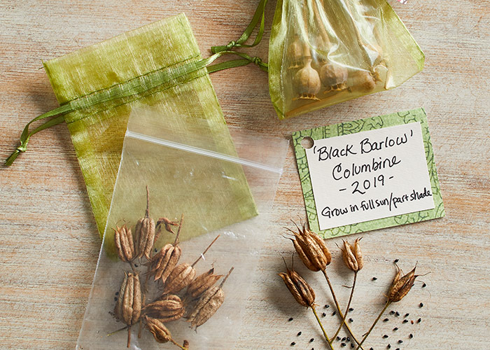 Saving seeds for gifts: You can find jewelry bags like these at local craft stores. They're see-through so it's easy to see which type of seed is in each one.