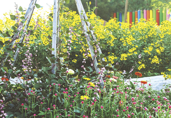 Idaho Botanical Garden Children's Adventure Hyacinth beans growing up a teepee trellis: Colorful annuals welcome guests to the Children's Adventure Garden.