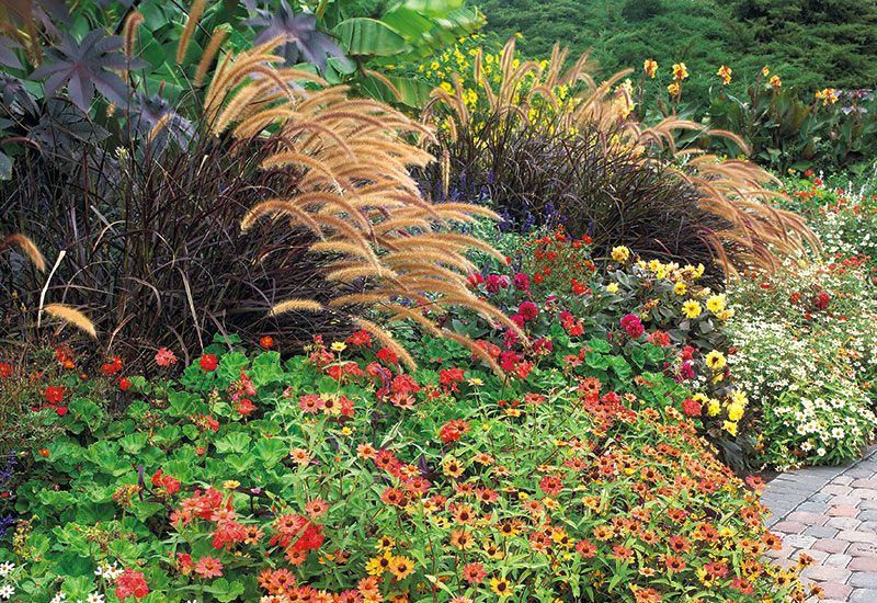 Fall-ornamental-grass-garden-design-ideas-lead