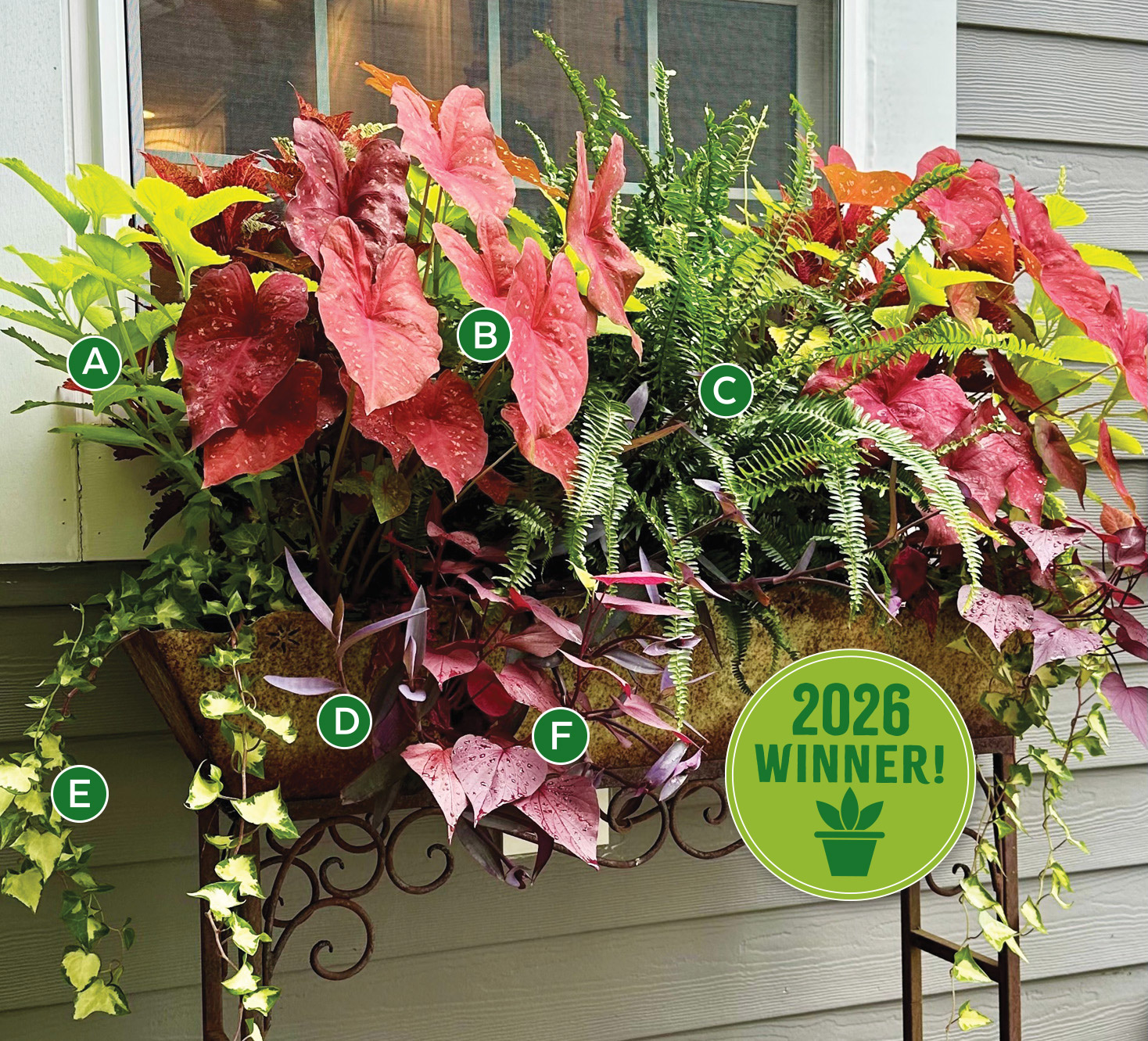 2026 Container Challenge Winner Lynnie Goss Lettered Badge