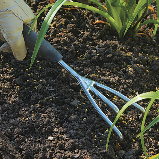 granulated fertilizer with cultivator: Scratch granulated fertilizer into the soil with a cultivator.