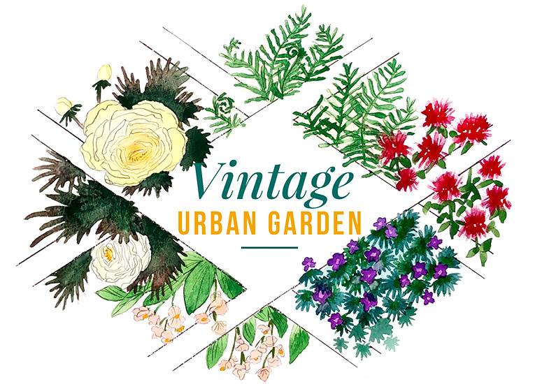 Chloe-logo Vintage-Urban-Garden-Lead