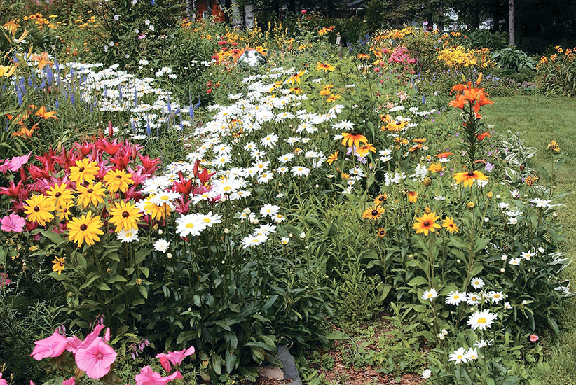 Combine-flower-shapes-in-your-garden-Lead: Planting a lot of different shapes will keep your eye moving throughout the entire garden. This makes it more interesting to look at — your eye keeps seeking the next shape & pollinators will love it too.