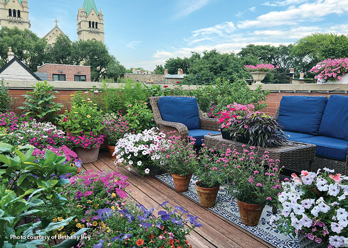 Bethany Bey rooftop garden: Bethany Bey's Chicago rooftop garden is full of flowers and plants. Follow her on Instagram @ChicagoGardener.