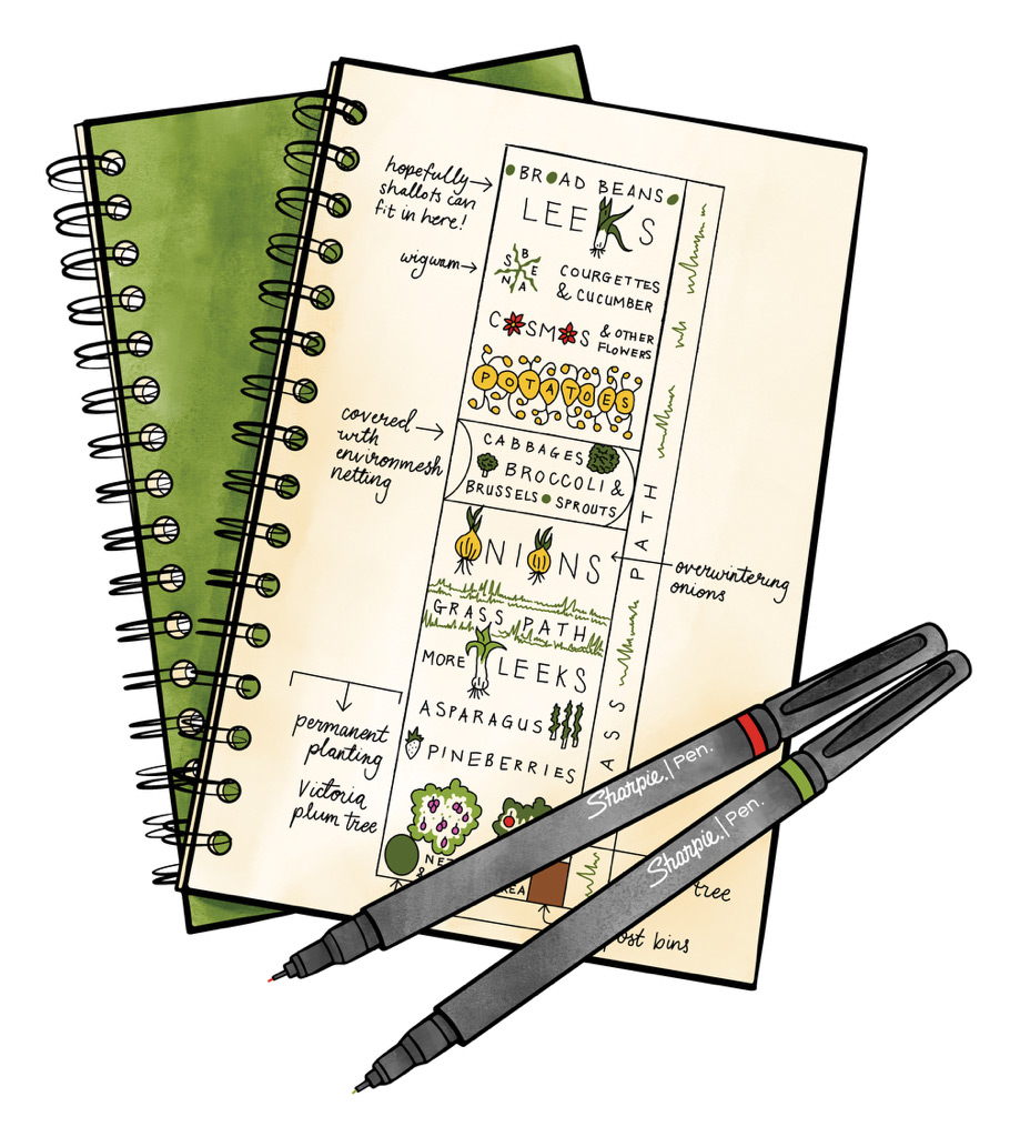 Garden Journal ITW illustration by Danielle Lowery-Ruscher: Illustration by Danielle Lowery-Ruscher