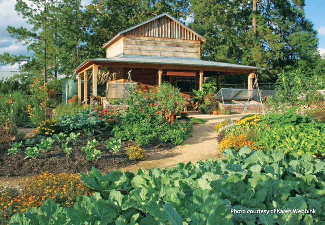 Sarah P. Duke discovery garden: Take a class in the Charlotte Brody Discovery Garden's Burpee Learning Center. Topics include growing vegetables or fruit trees and water management in your yard. 