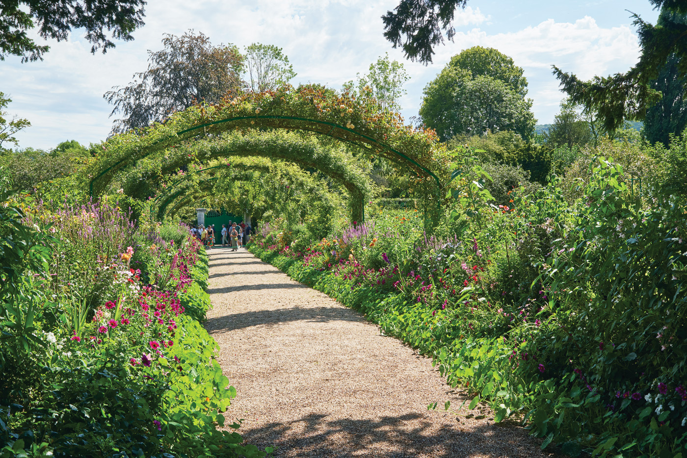 Monet's Garden in France with floral archways over pathway: Well-behaved, charming climbers that are worth considering include clematis (Clematis spp. and hybrids) and climbing roses (Rosa spp. and hybrids), which can create a lush feel without causing maintenance headaches.