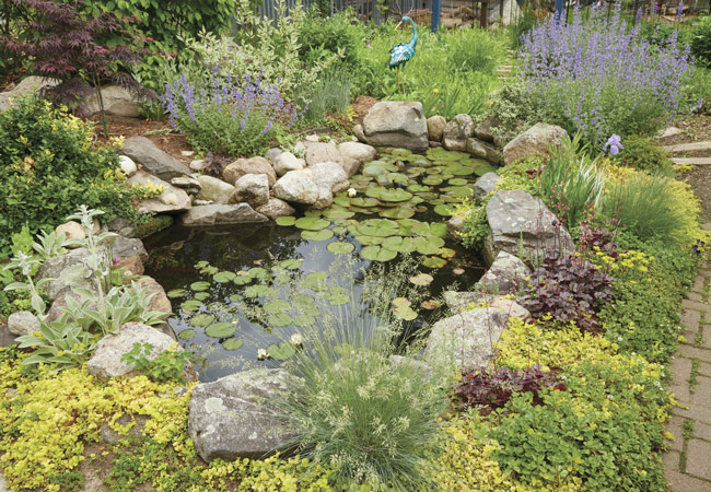 174-FG-reader-garden-winners-pond: This self-sustaining pond is full of life including goldfish and water lilies.