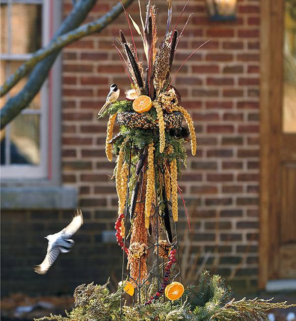 Bird-feeding obelisk in fall: Offer a variety of food, like these different seedheads and fruits, to appeal to a wide range of birds. This will give you the best show and birds their choice of energy sources.