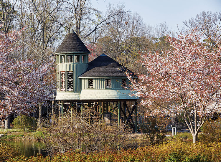 Lewis Ginter Botanical Garden TreeHouse: Climb into the trees at the tree house that sits 13 feet high and is accessed by a gently sloping ramp. That way everyone can enjoy great views of the garden or keep an eye out for birds sitting in the surrounding branches.