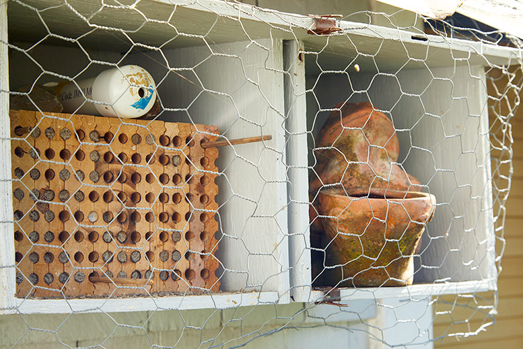 Protect your bee house from birds with chicken wire: Chicken wire placed a couple inches away from the bee box prevents birds from snacking on the larva.