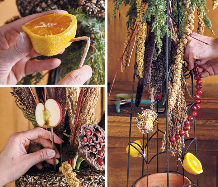 Add fruit to the bird-feeding obelisk: Birds will love the addition of  fruit in your display like apples, oranges and cranberries.