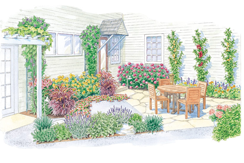 Patio Garden Design Illustration: Illustration by Carlie Hamilton
