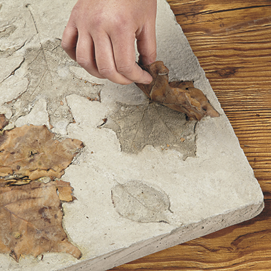 Remove concrete stepper from form and take off leaves: Once the concrete has cured carefully turn it over and peel out the leaves.
