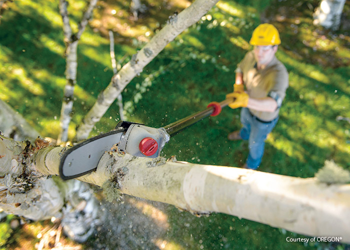 Pole saw from OREGON brand: Cut high branches with ease using a power pole saw.