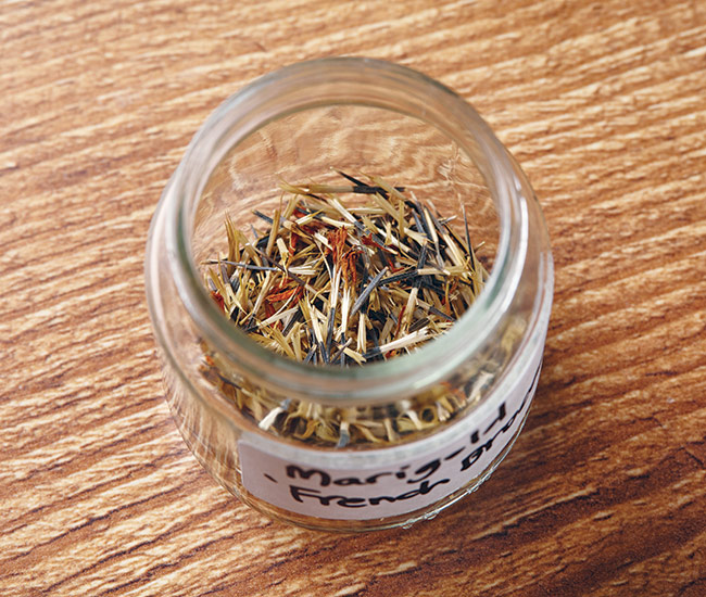 Marigold seed in glass jar: A small lidded jar is perfect for storing seeds.