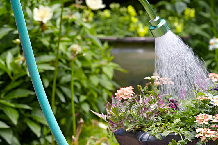 watering-tips-hand-watering: Watering wands are a handy tool for watering container gardens and raised beds.