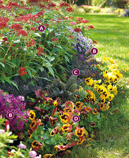Long late season blooming plant combination with letters: Add cool-season flowers to your garden borders.
