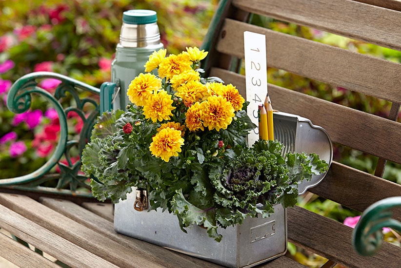 easy-upcycled-garden-planters-lunchbox-planter: This metal lunchbox makes a perfect shabby chic planter for seasonal annuals.
