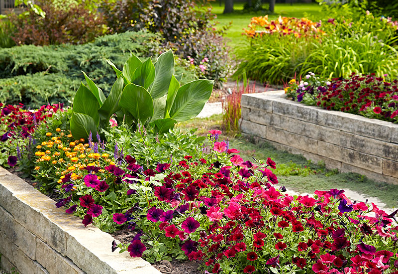 Stone raised garden bed full of flowers in summer: Raised beds can be as beautiful as they are functional.