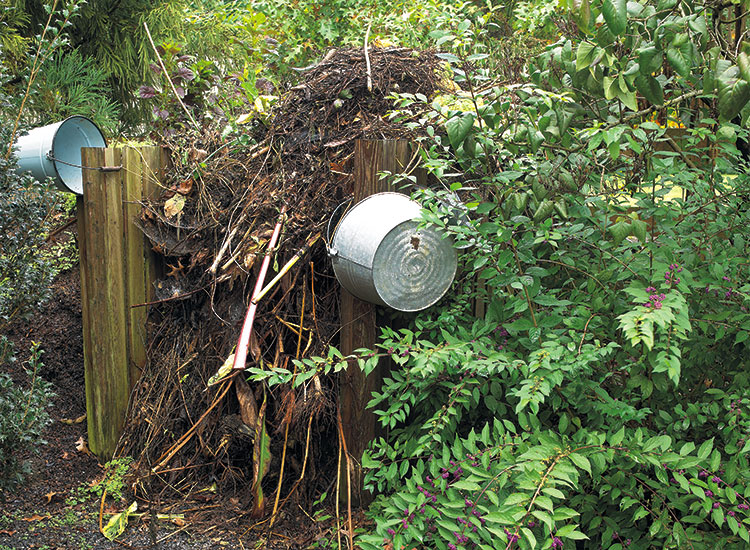 welcome-birds-to-your-garden-leave-garden-debris-to-attract-bugs-and-birds:  A pile of garden debris is the perfect spot for a gray catbird to look for beetles, pillbugs or centipedes.