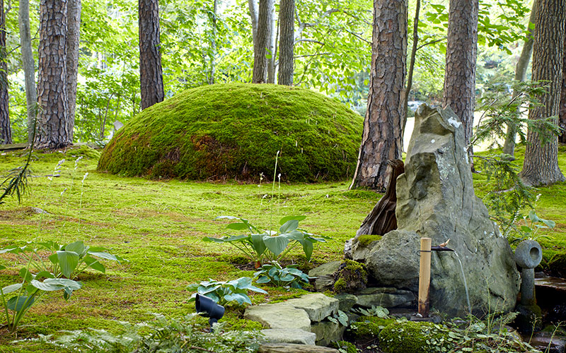 moss-garden-giant-moss-moundR: Here, David has used fern moss to cover this impressive mound as a focal point in his moss garden.