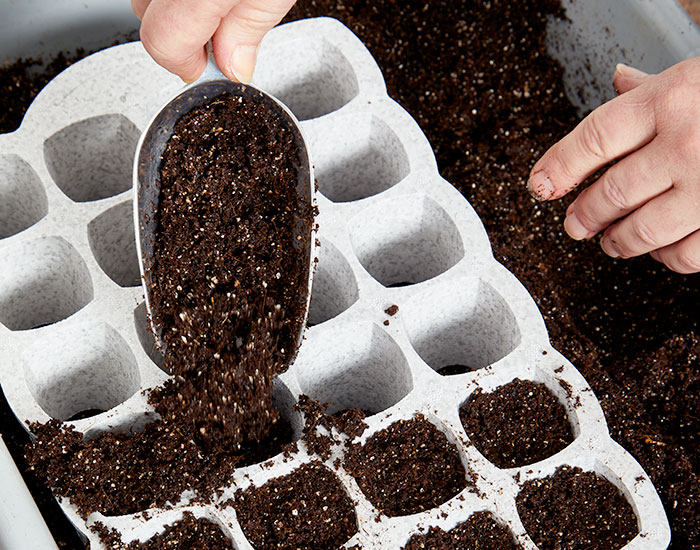 starting-seeds-indoors-growing-medium-seed-starting-soil