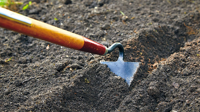 choosing-the-right-garden-hoe-pv: The pointed end of a warren hoe digs a neat furrow in tilled soil, perfect to plant seeds in rows.