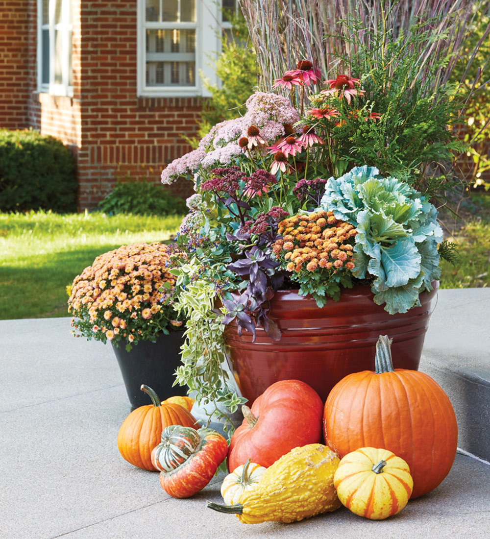 GG155 fall-container-lead: Perennials (and a shrub) pack this container, but it’s a good investment because you can plant them in the garden in fall to enjoy next year!