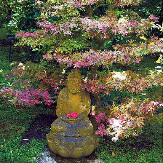 designing-with-japanese-maples-pair-with-an-ornament: A focal point like this will have more multiseason appeal if you prune your Japanese maple to emphasize an architectural branching structure.