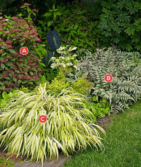Shade garden combination with hydrangea and hakonechloa: Japanese painted fern and chartreuse foliage from hakonechloa add texture and color to a shady spot.