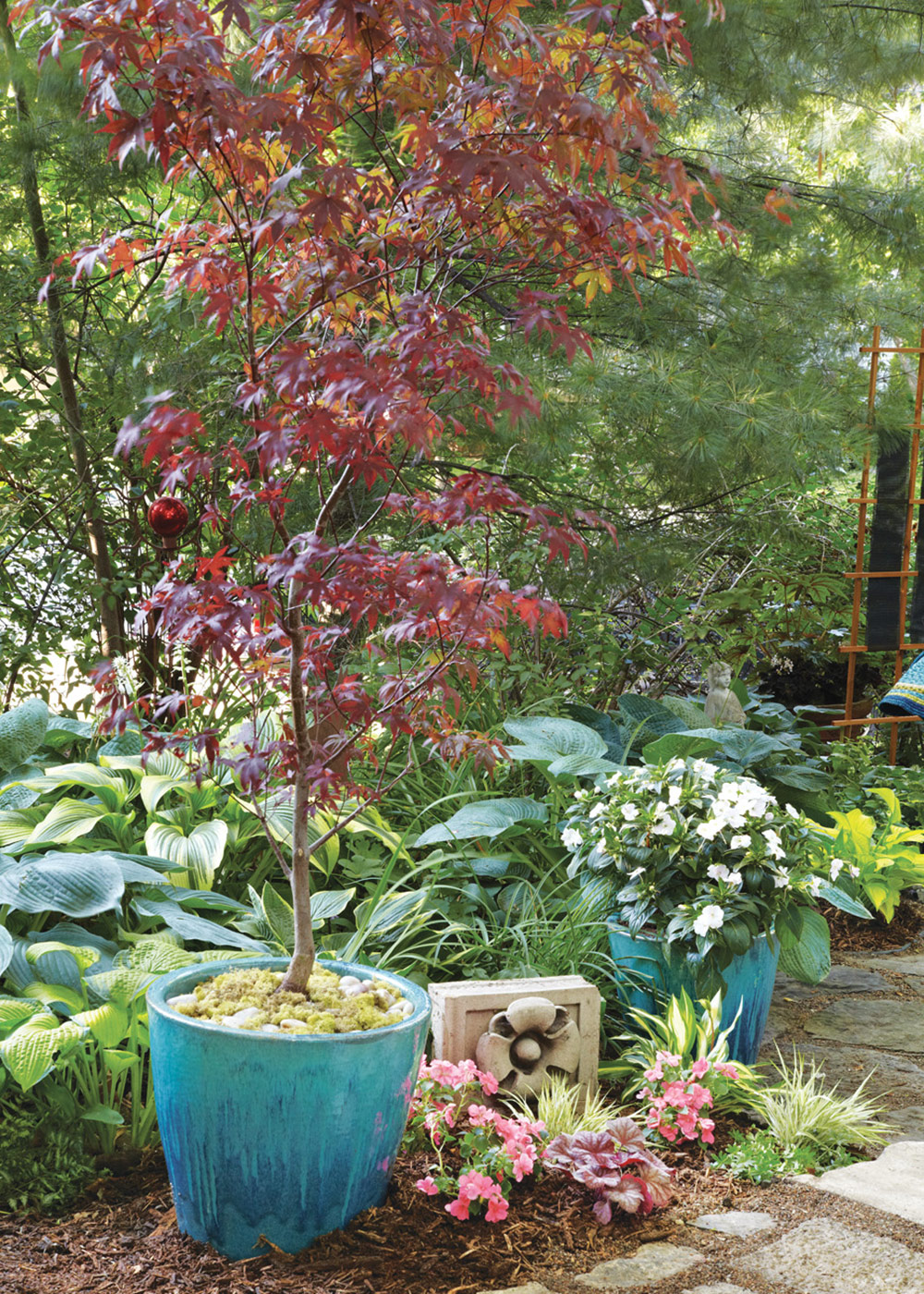 container grown tree on a patio: This Japanese maple tree makes a stunning specimen in a container on a patio.