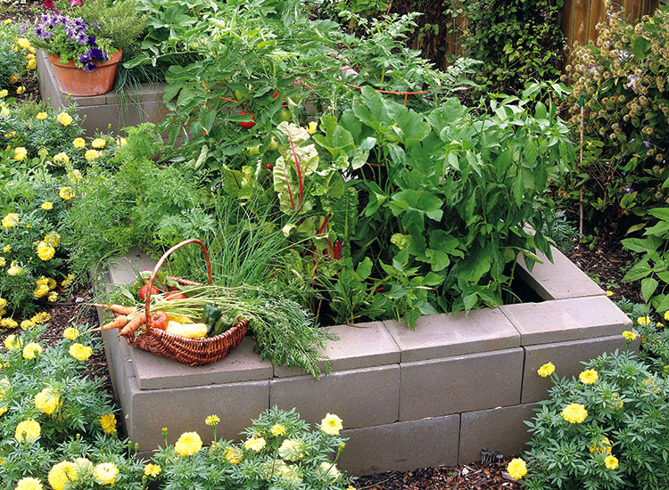 Raised garden bed made out of stacked cinder blocks: Stacked cinder block beds are a great DIY option.