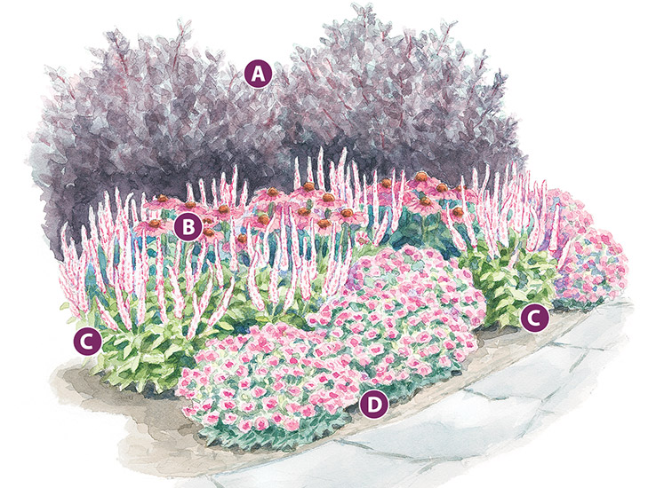 Pretty-in-pink-vignette-lead: Grow this combination in a spot that has well-drained soil and plenty of sun to get the most flowers and healthy foliage.
