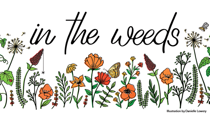 In the Weeds logo 