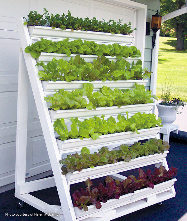 DIY-vertical-garden-for-greens: Vertical gardening is a great way to grow more produce in less space.