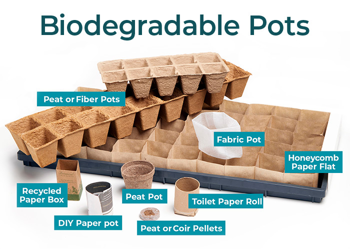 biodegradable pots labeled: Here is a collection of biodegradable pots that can be used for starting seeds.