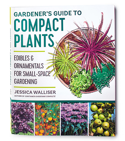 Gardeners guide to compact plants book cover