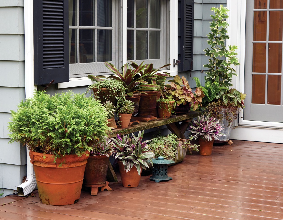 GG188 SW Susan Nock summer patio container grouping: This summer container grouping on Susan’s patio gets a change-up before the cooler nights affect tender plants.