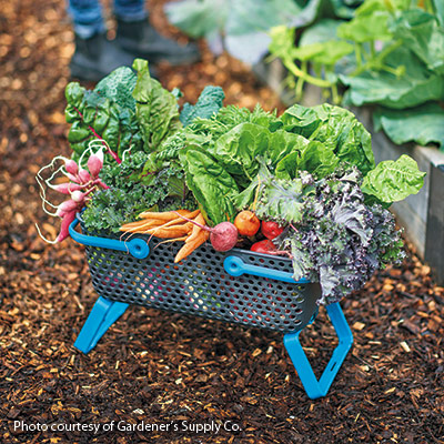 mod-hod-veggie-basket-Gardeners-Supply-Co