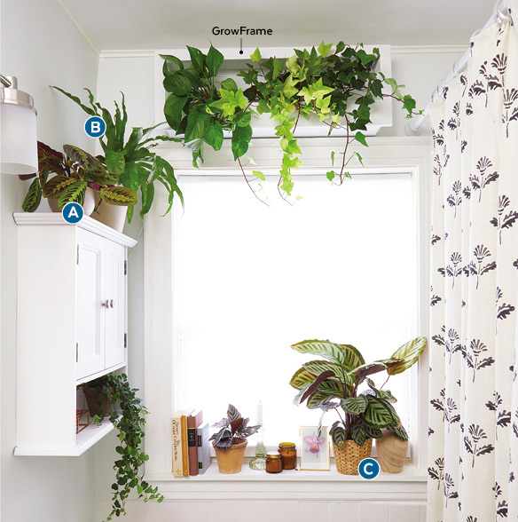 Decorating with houseplants in a bathroom: Decorative accents in the bathroom echo the markings in the plant’s leaves.