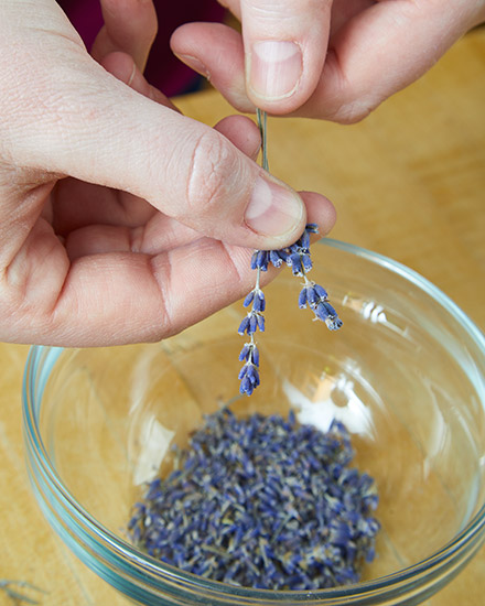 pj-lavender-scrub-strippingFlowers: Remove the lavender florets from the stem to use in the sugar scrub.