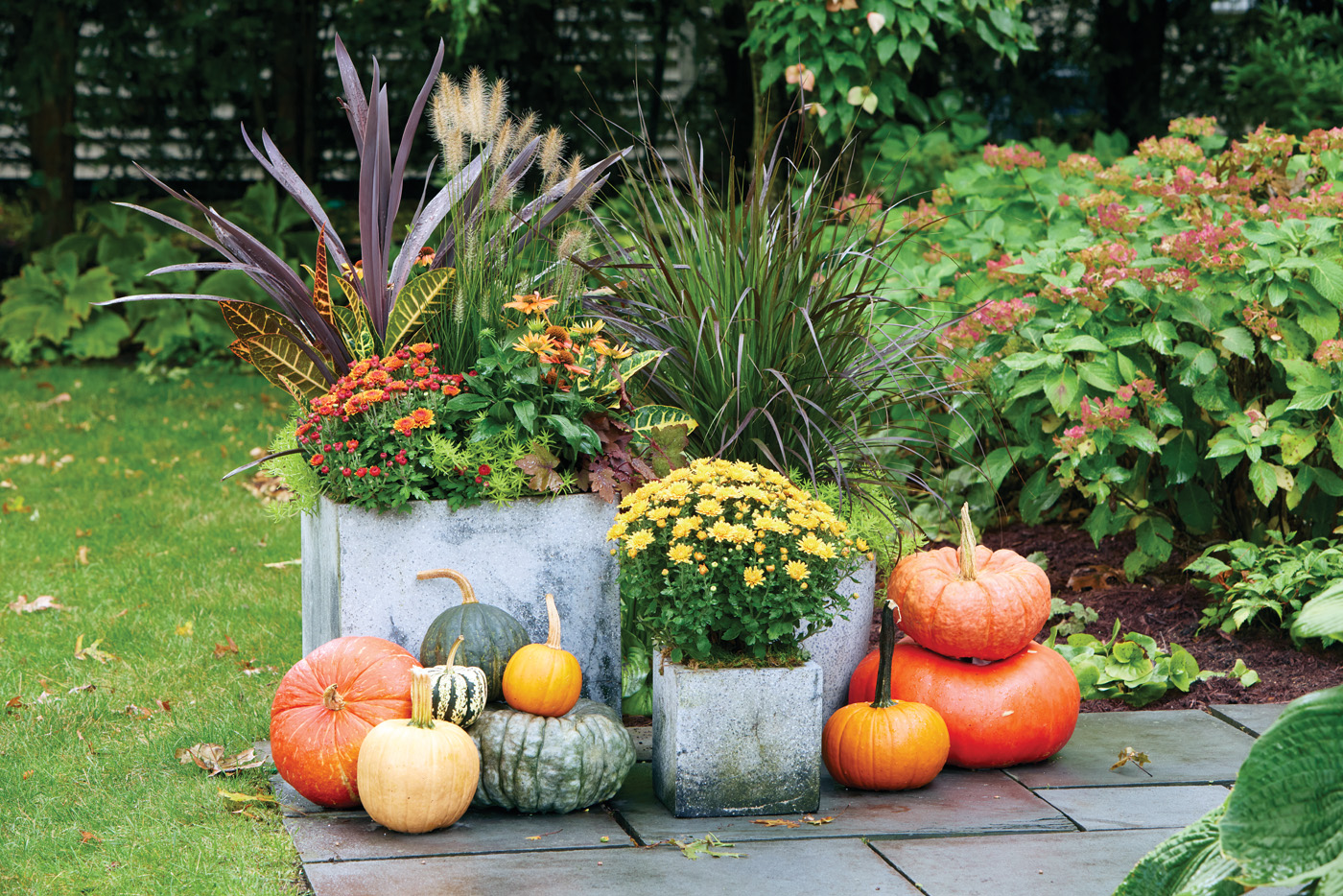 GG188 SW Susan Nock fall container grouping with pumpkins: The traditional fall color palette of this container group called for classic pumpkin colors. If the planting scheme had cool colors, Susan would use white pumpkins.