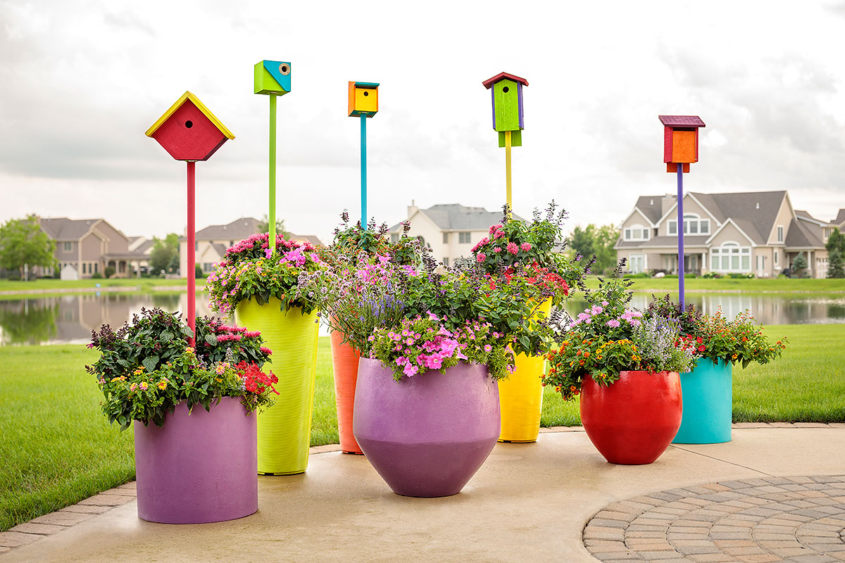 Pollinator-Patio-055 RS: Even a simple grouping of containers packed with colorful blooms can be a helpful addition for pollinators in your garden.