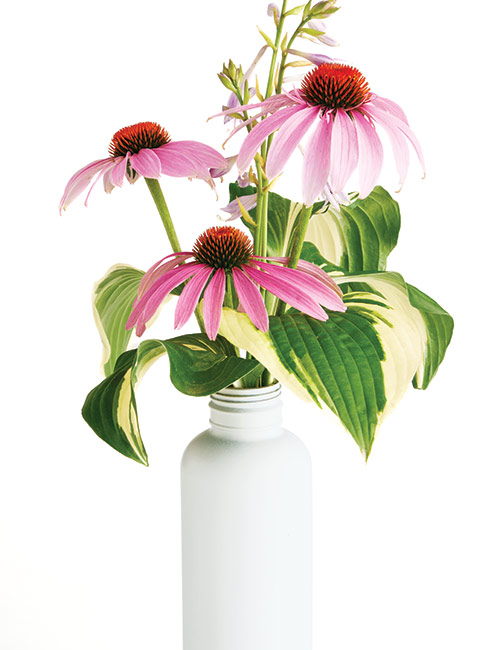 Upcycled bottle vase for flowers: Paint a glass drink bottle to create a simple vase for a bouquet.