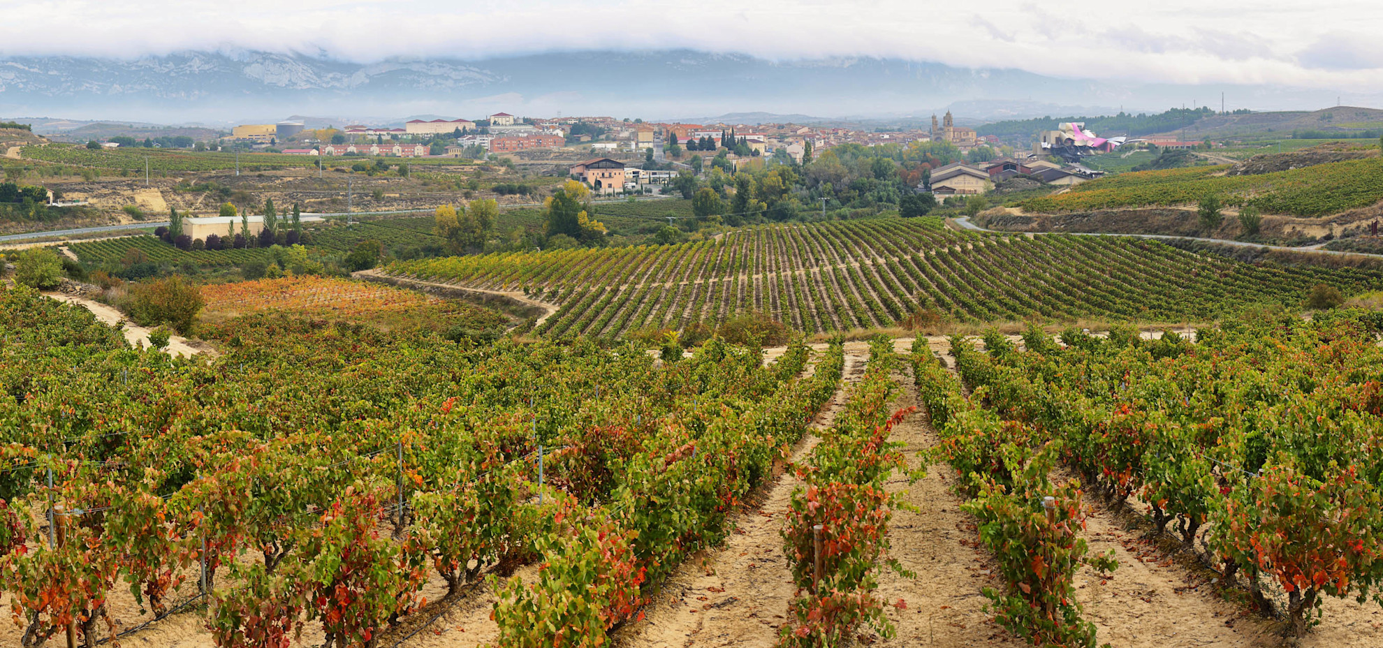 La Rioja is one of the most renowned wine regions in Spain