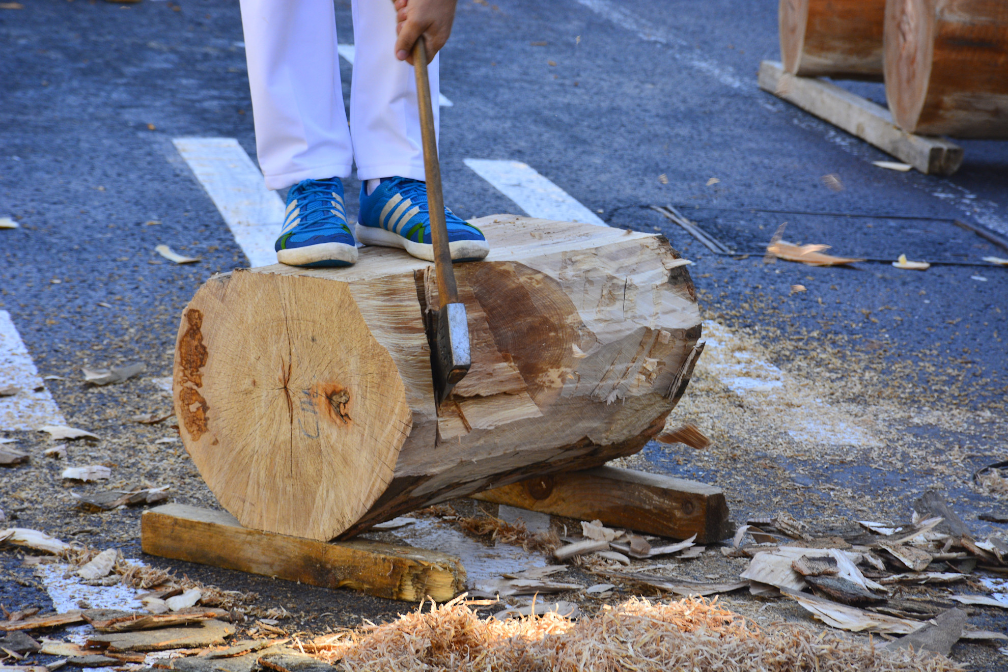 Aizkolaritza Traditional Basque Wood Chopping