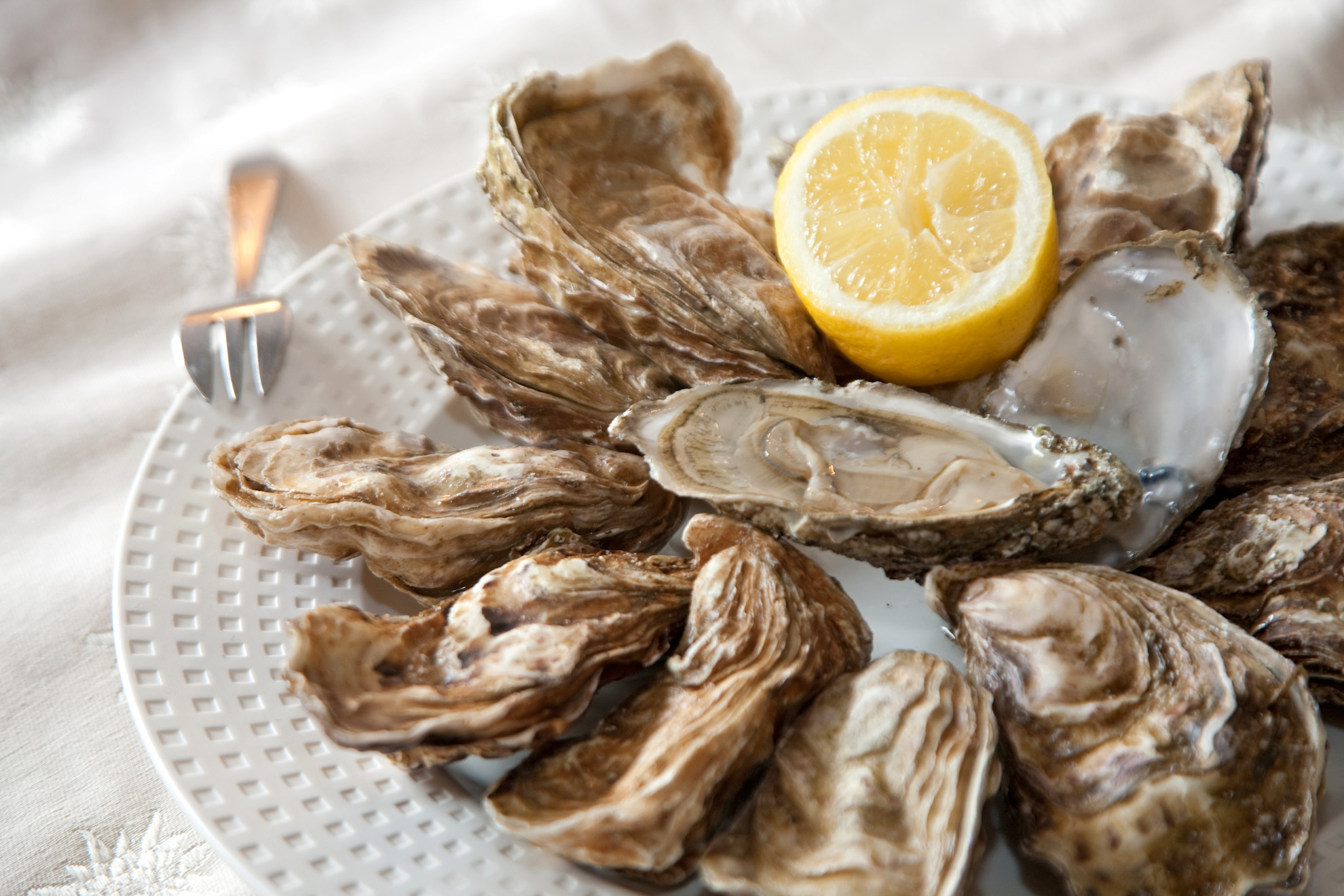 Oysters served with fresh lemon © Franck Hamel, BRTC