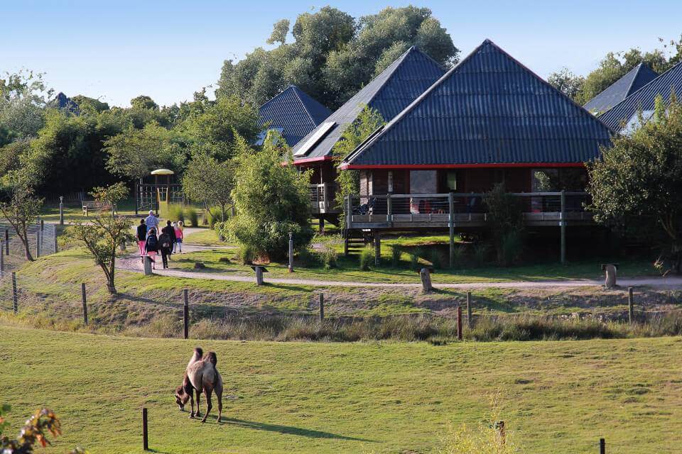 Cerza Safari Lodges,  Herminal les Vaux