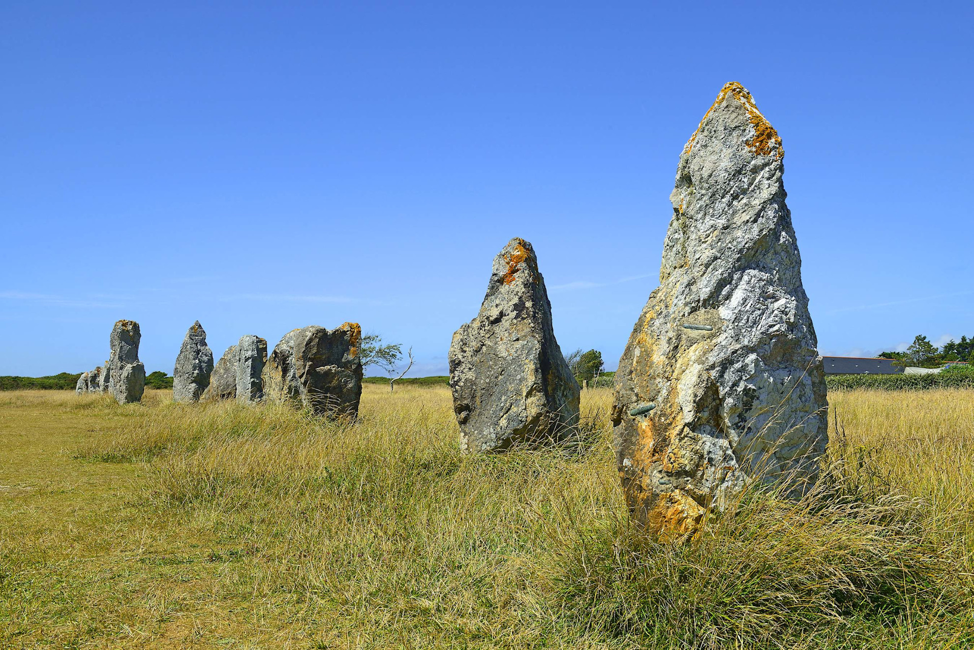 Standing stones at Carnac © Shutterstock